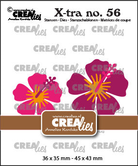 X-tra dies no. 56, Hibiscus 2